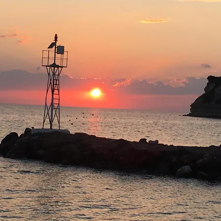 Sani Haven *